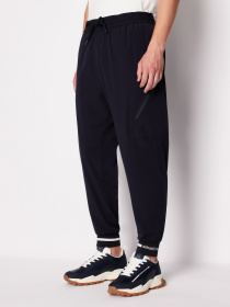 Штаны спортивные Armani Exchange модель 3DZPL2-ZN3GZ-1583 Фото