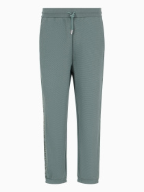 Штани спортивні Armani Exchange модель 3DZPLA-ZJLGZ-1888 Фото