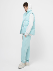 Жилет с утеплителем Armani Exchange модель 3DZQL5-ZN3HZ-55JM Фото