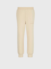 Штаны спортивные Armani Exchange модель 3DZPAA-ZJUBZ-1792 Фото