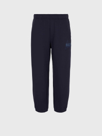 Штаны спортивные Armani Exchange Allover Logo модель 3DZPHK-ZJXRZ-15CX Фото