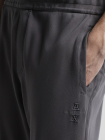 Спортивні штани Armani Exchange модель 6DZPLK-ZJNOZ-19AA Фото