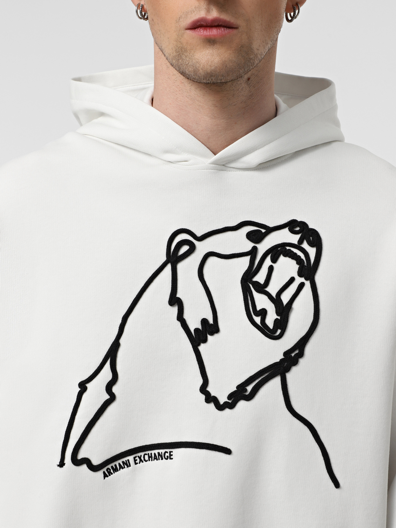 Худи Armani Exchange модель XM000041-AF10858-M0015 Фото