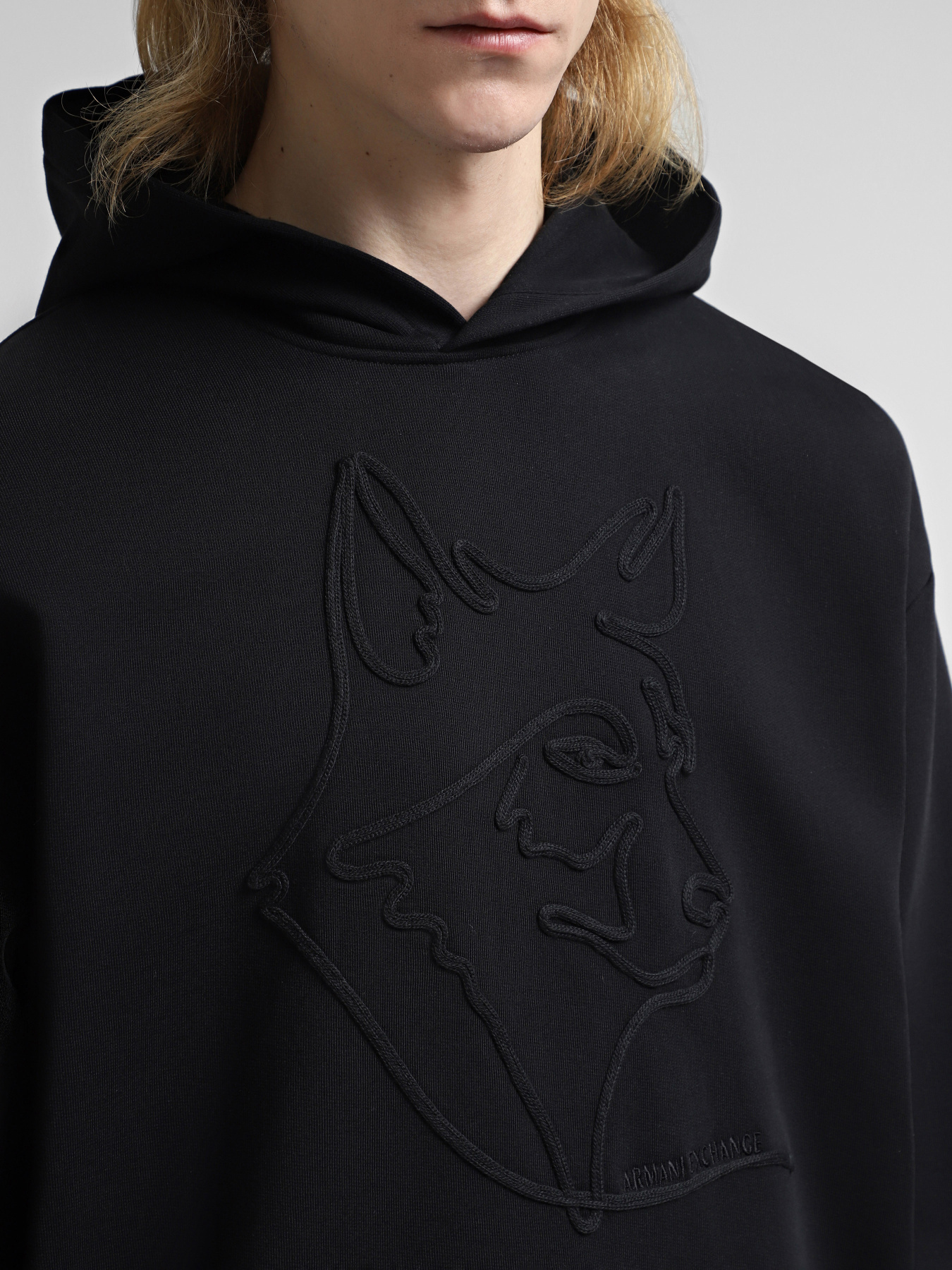 Худі Armani Exchange модель XM000041-AF10858-MC004 Фото