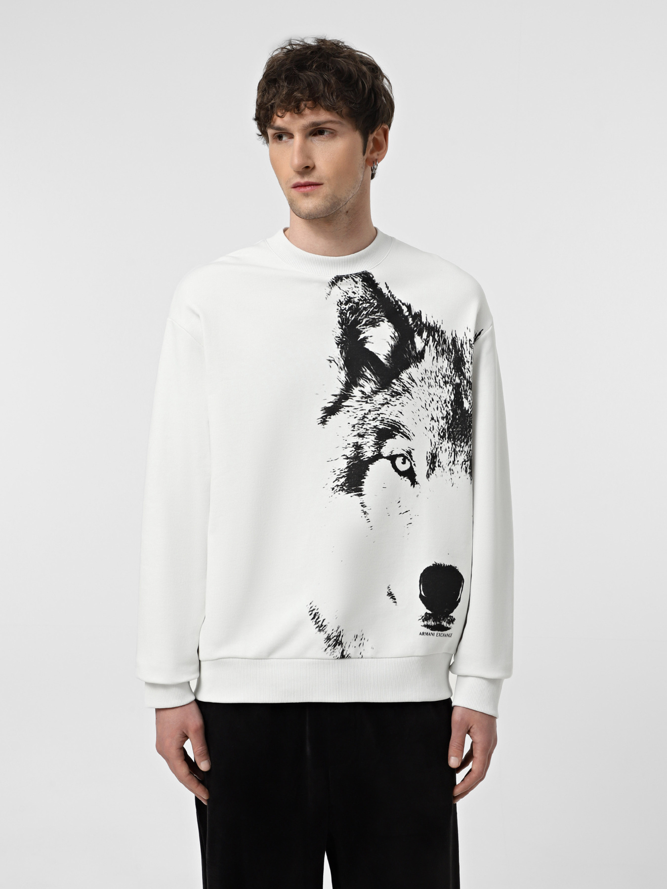 Світшот Armani Exchange модель XM000042-AF10858-M0012 Фото