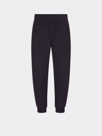 Штаны спортивные Armani Exchange модель XM000292-AF12656-UB101 Фото