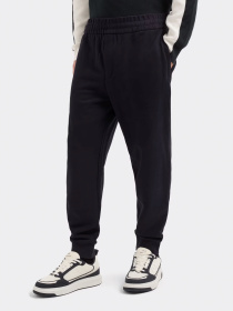 Штаны спортивные Armani Exchange модель XM000292-AF12656-UB101 Фото