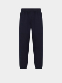 Спортивні штани Armani Exchange Blue Edition модель XM000354-AF10818-UB101 Фото