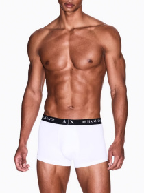 Нижня білизна Armani Exchange модель XM000871-AF13682-M7035 Фото