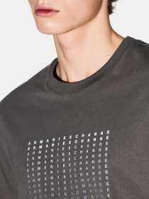 Футболка Armani Exchange модель XM002519-AF10334-U8144 Фото