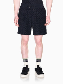 Шорты Armani Exchange модель XM002348-AF21860-UB101 Фото
