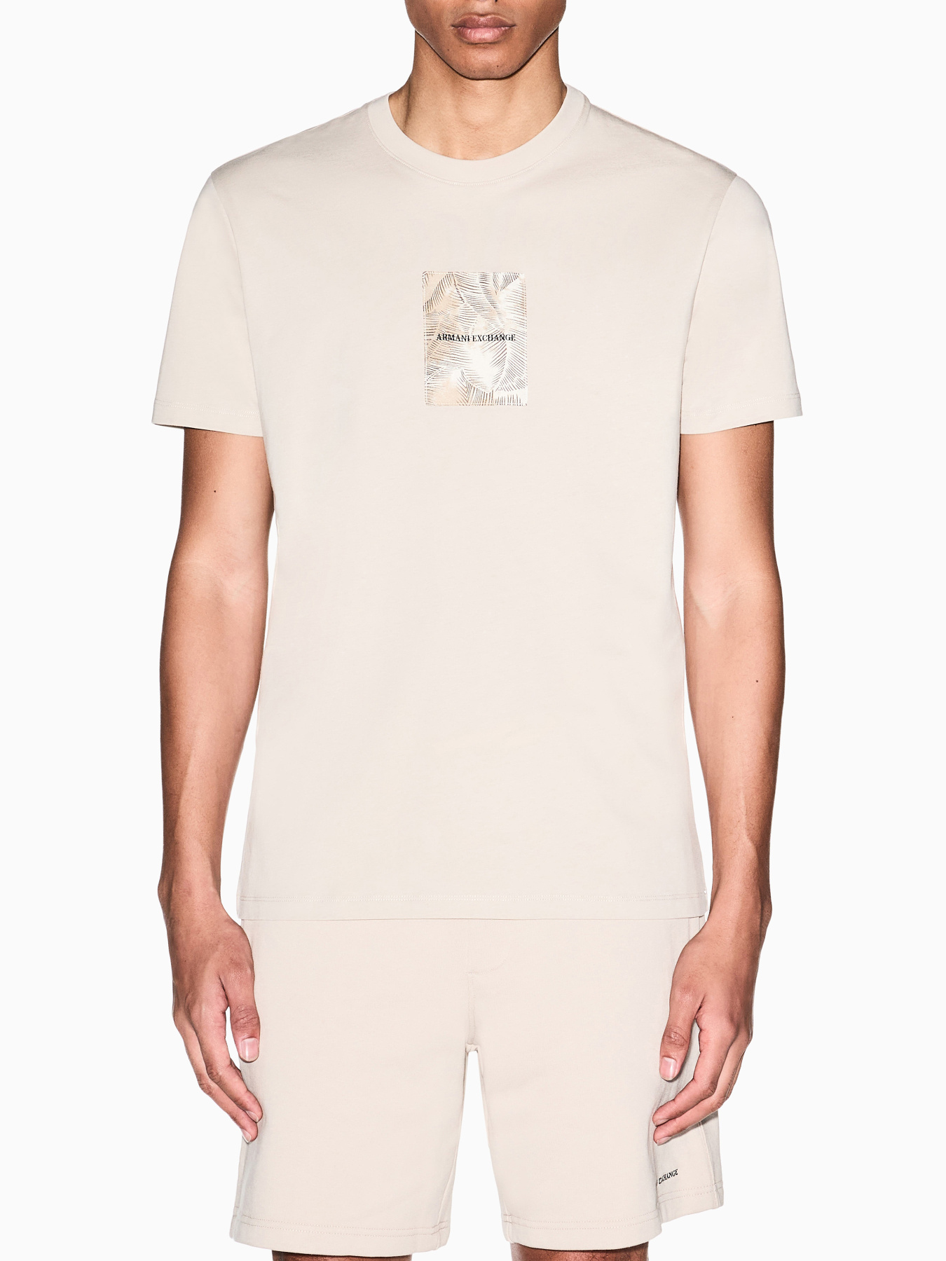 Футболки і поло Armani Exchange модель XM002501-AF10356-U1148 Футболки і поло Armani Exchange модель XM002501-AF10356-U1148 Фото