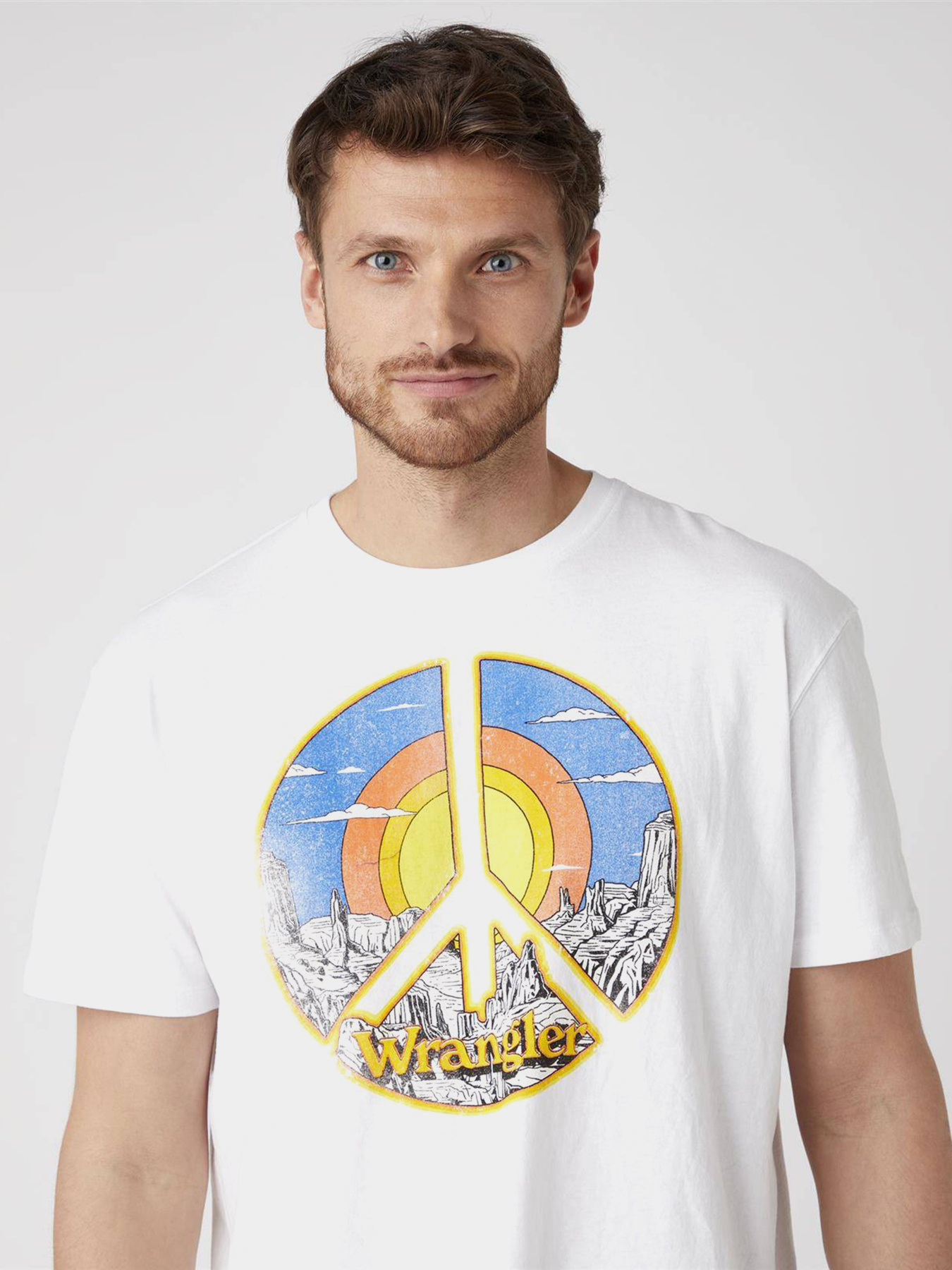 Футболки и поло Wrangler модель W7APGF989 Фото