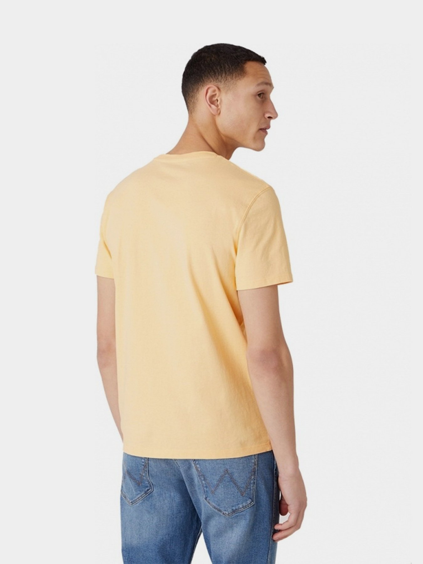 Футболки и поло Wrangler модель W7AVGFA11 Фото