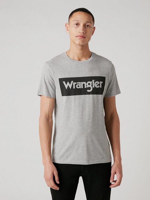 Футболки и поло Wrangler модель W742FKX37 Фото