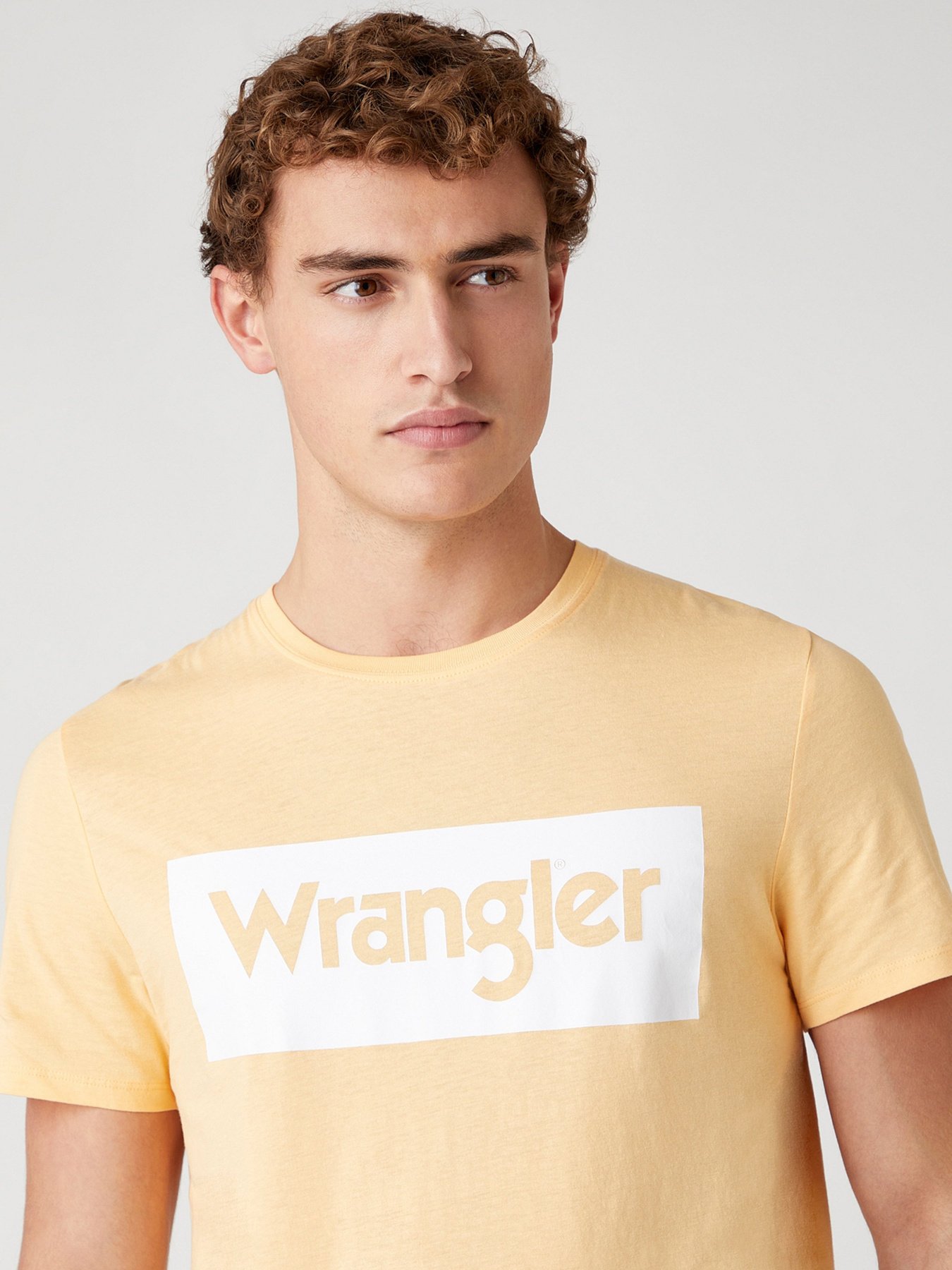 Футболки и поло Wrangler модель W742FKA11 Фото