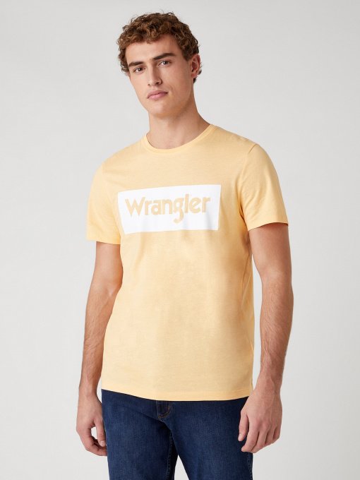 Футболки і поло Wrangler модель W742FKA11 Фото