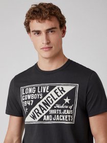 Футболки и поло Wrangler модель W7AGD3XV6 Фото