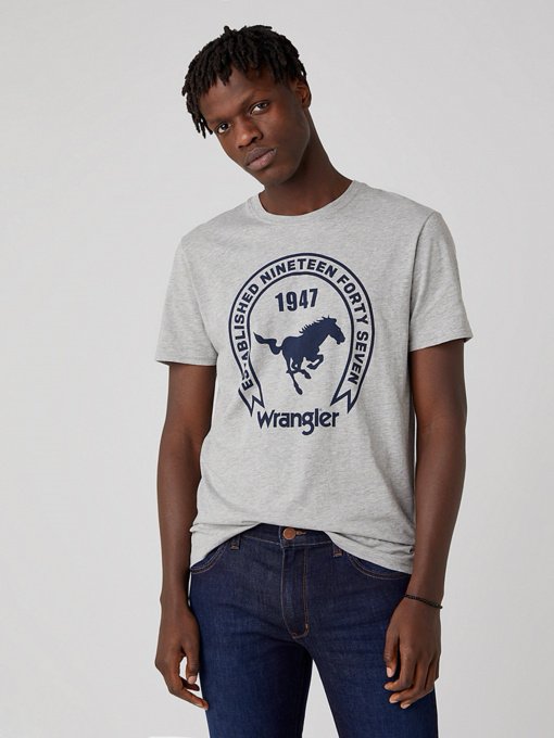 Футболки і поло Wrangler модель W7AGD3X37 Фото