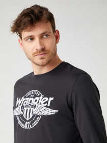 Лонгслив Wrangler модель W7J5D3XV6 Фото