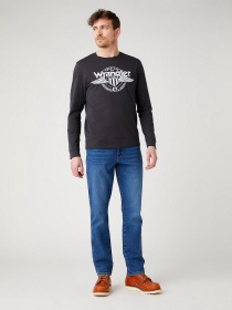 Лонгслив Wrangler модель W7J5D3XV6 Фото