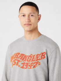 Свитшот Wrangler Graphic модель W6E9ILX3700 Фото