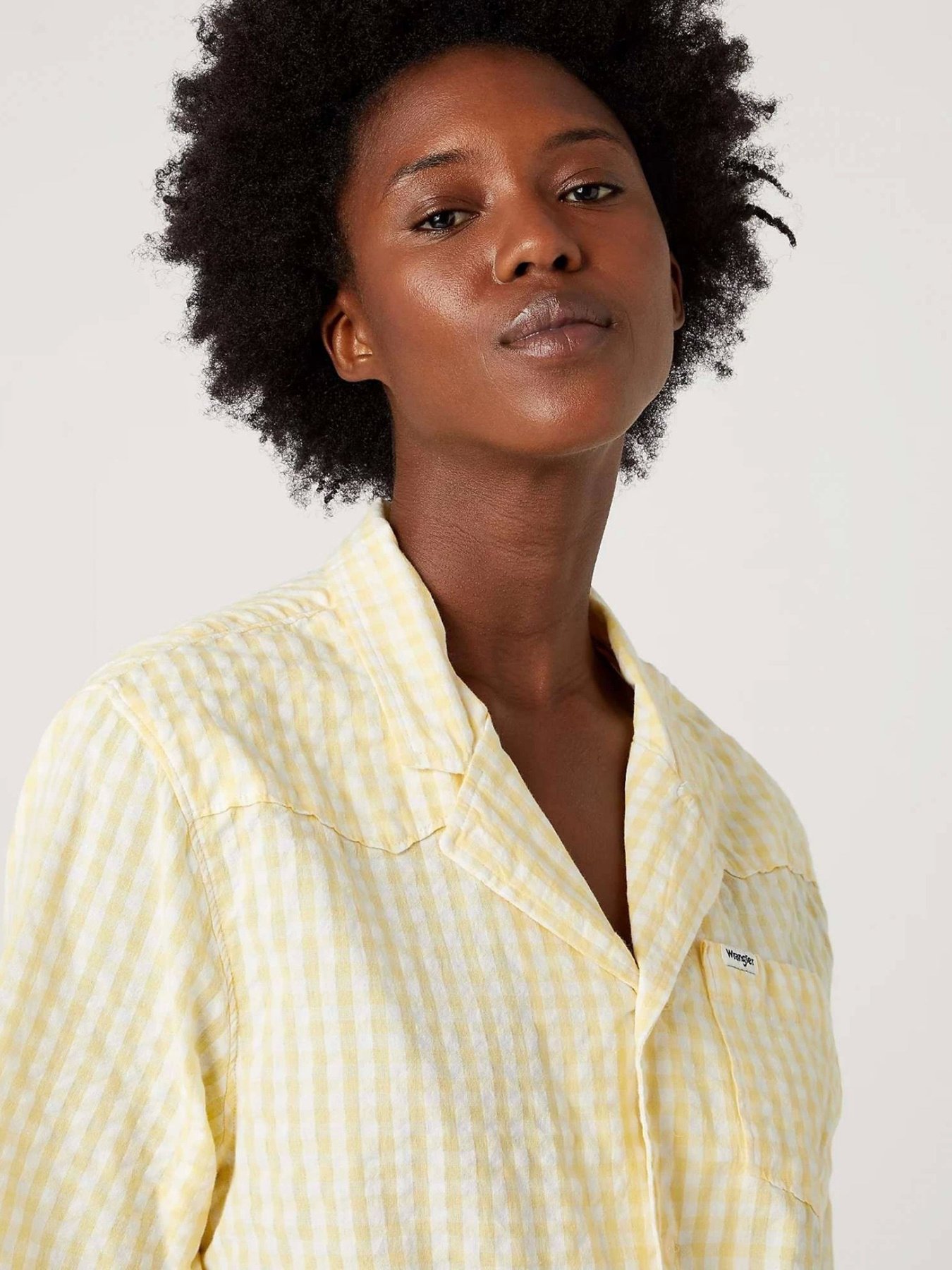 Сорочка повсякденна Wrangler Tie Resort Shirt модель W5Q45PY37 Фото