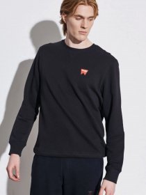 Світшот Wrangler Sign Of Crew модель W661HA100 Фото