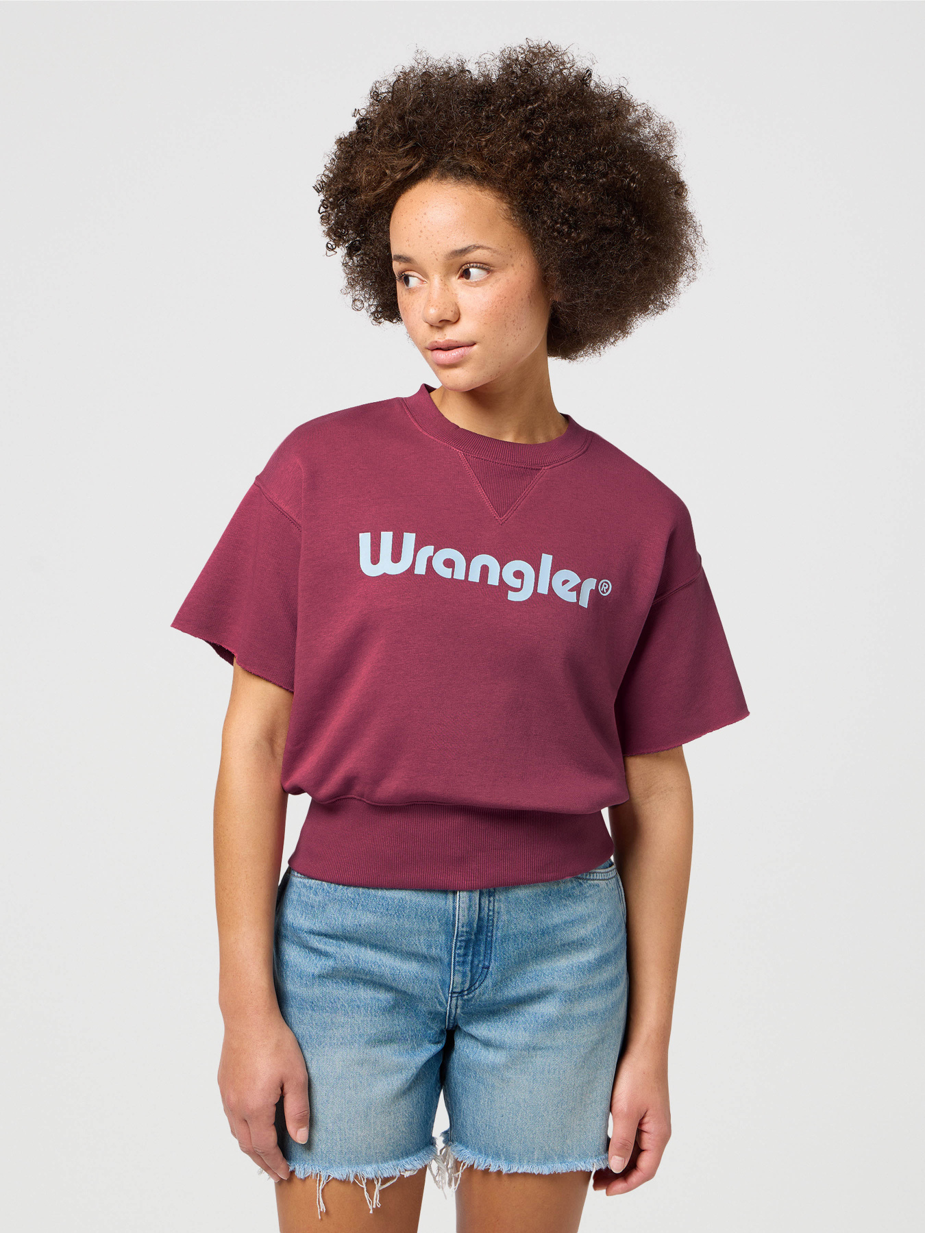 Футболка Wrangler Ss модель 112350346 Футболка Wrangler Ss модель 112350346 Фото