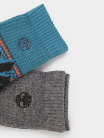 Набор носков Timberland 2-Pack Top-Stripe Boot модель TB0A1EXX001 Фото