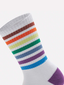 Шкарпетки Timberland Multi Stripe Low Crew модель TB0A6BHK100 Фото