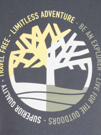 Футболка Timberland Kids модель T25R74/037 Фото