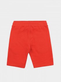 Повседневные шорты Timberland Kids модель T24B31/42M Фото