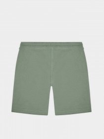 Повседневные шорты Timberland Kids модель T24B31/708 Фото