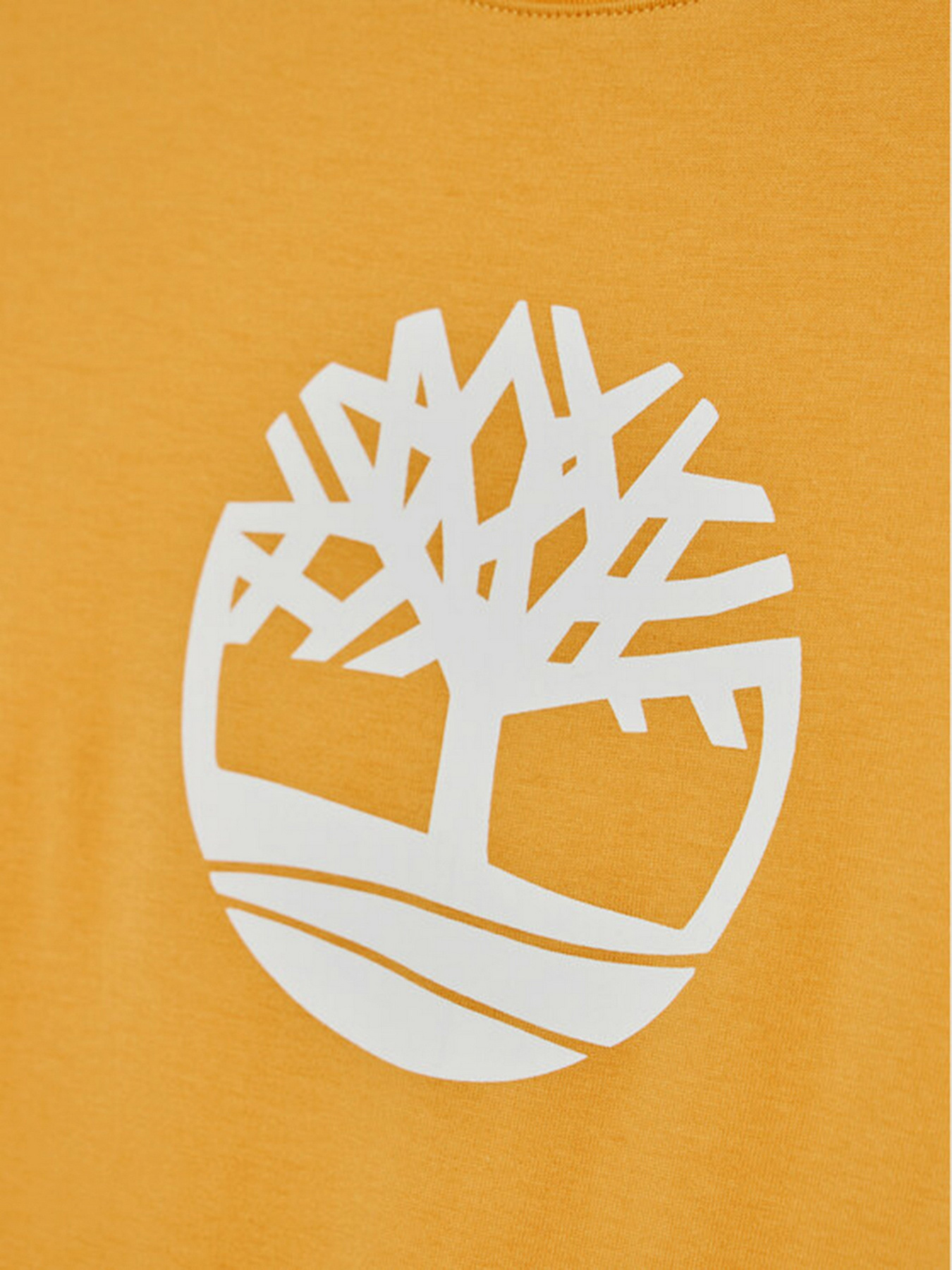 Футболка Timberland Kids модель T25R73/565 Фото