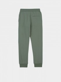 Штаны спортивные Timberland Kids модель T24B23/708 Фото