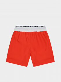 Шорти для плавання Timberland Kids модель T24B43/42M Фото