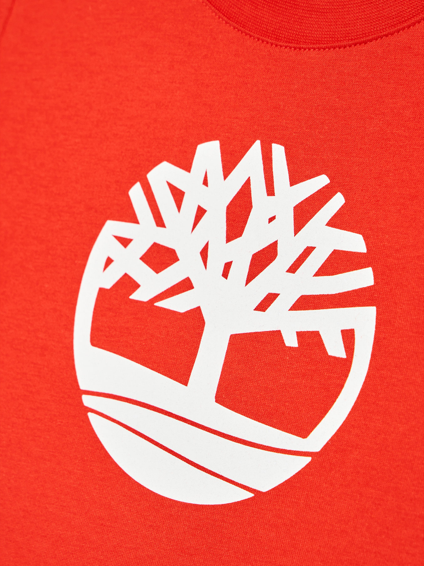 Футболки и поло Timberland Kids модель T25R73/42M Фото