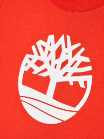 Футболки и поло Timberland Kids модель T25R73/42M Фото