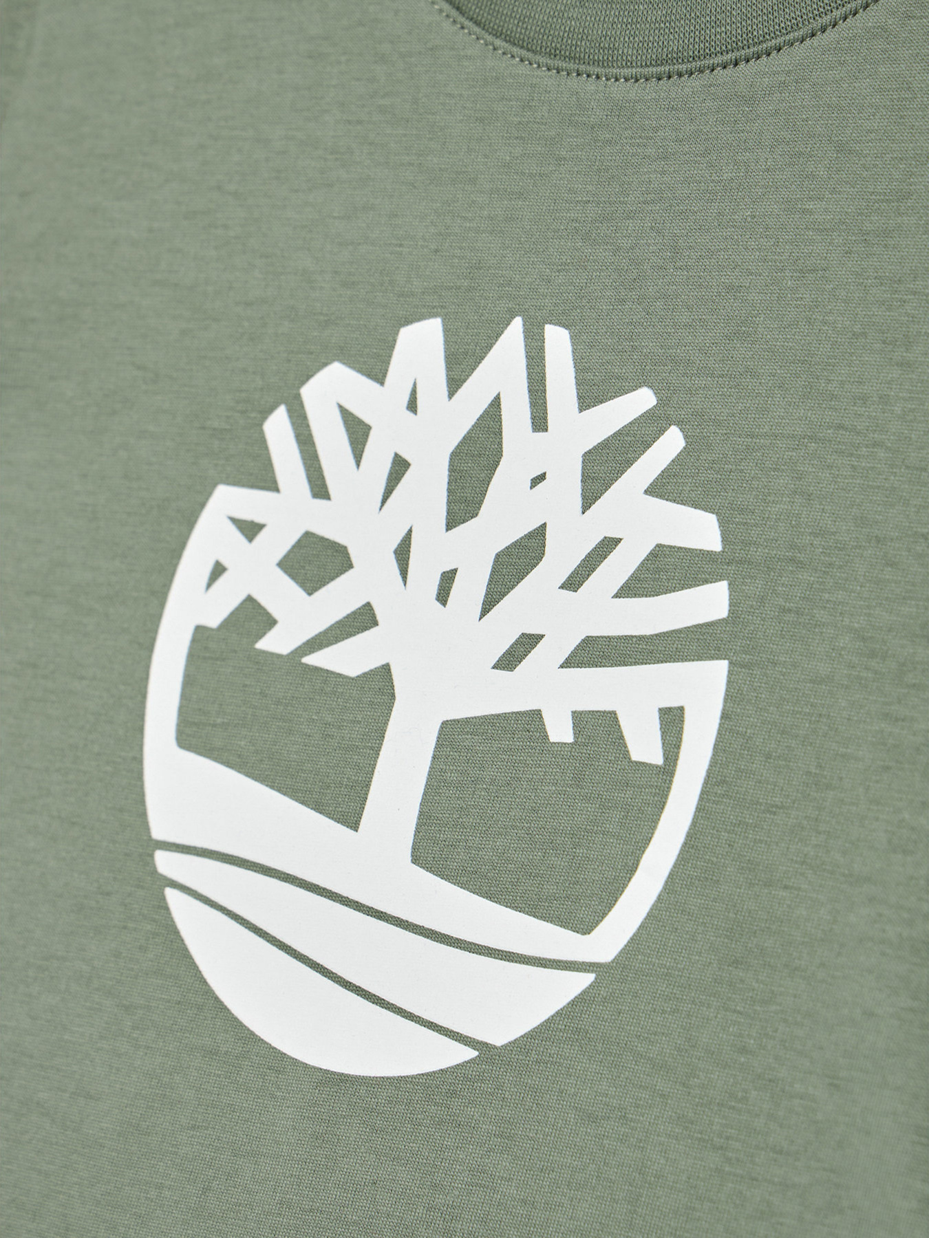 Футболка Timberland Kids модель T25R73/708 Фото