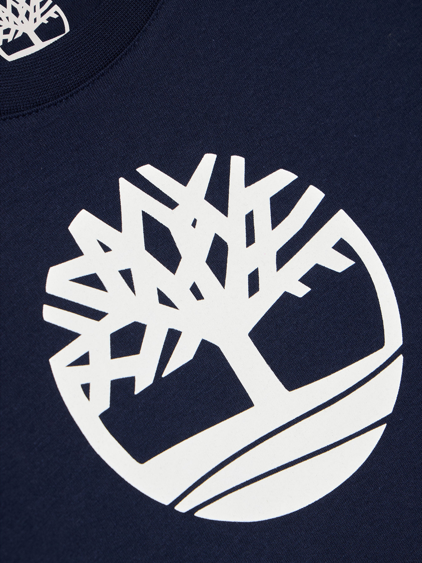 Футболка Timberland Kids модель T25R73/85T Футболка Timberland Kids модель T25R73/85T Фото