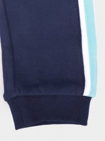 Штаны спортивные Timberland Kids модель T04993/85T Фото