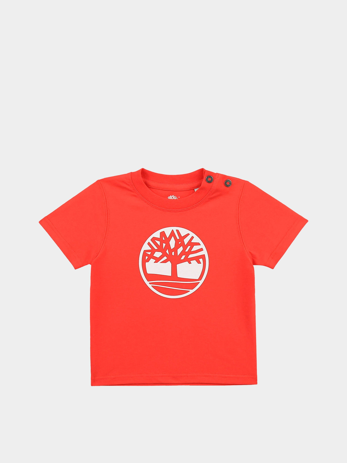 Футболка Timberland Kids модель T05J81/42M Фото