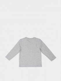 Лонгслив Timberland Kids модель T05K22/A32 Фото