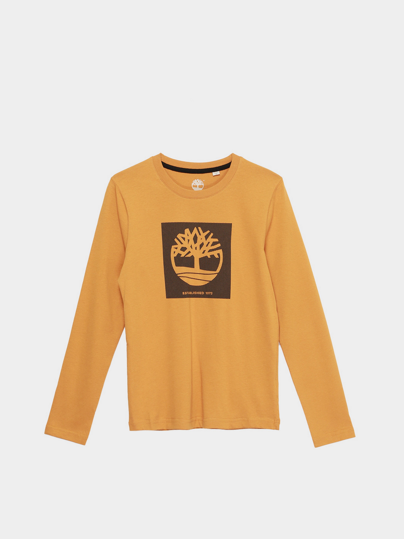 Лонгслив Timberland Kids модель T25S37/589 Фото