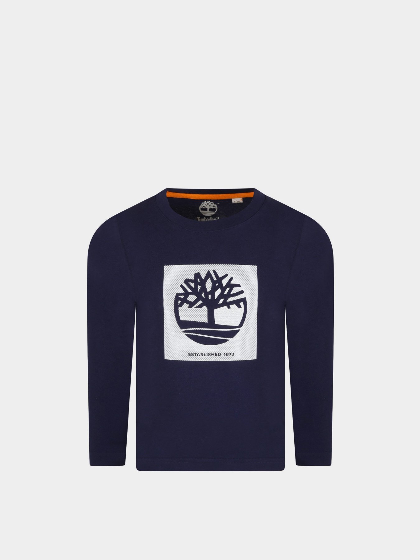 Лонгслив Timberland Kids модель T25S37/85T Фото