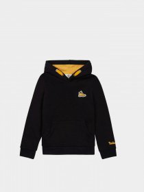 Худи Timberland Kids BAALON модель T25S76/09B Фото