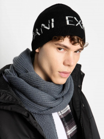 Шапка Armani Exchange модель 954668-3F308-00020 Фото
