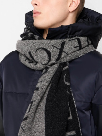 Шарф Armani Exchange модель 954300-3F150-03048 Фото