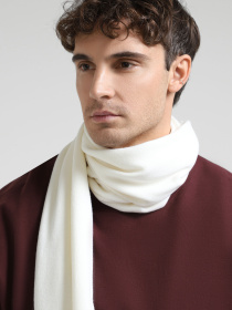 Шарф Armani Exchange модель 944610-4F302-98010 Фото